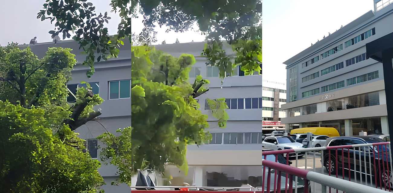 深圳华为工人集体跳楼事件 因欠薪导致多人上天台寻死 现场视频曝光令人唏嘘不已