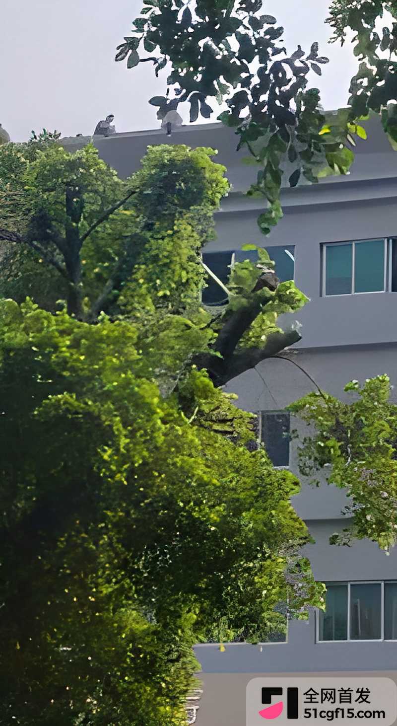深圳华为致工人集体跳楼事件 9