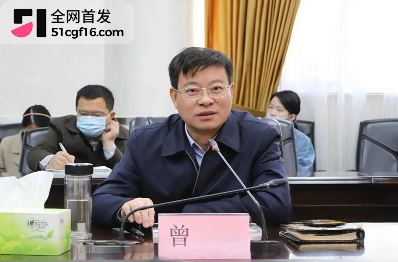 武汉市委秘书长 曾晟 与主持人情妇胡颖 丑闻曝光4
