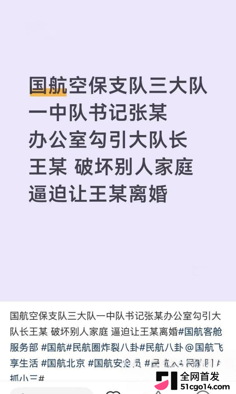 国航空保大队长王成林被实名举报 12