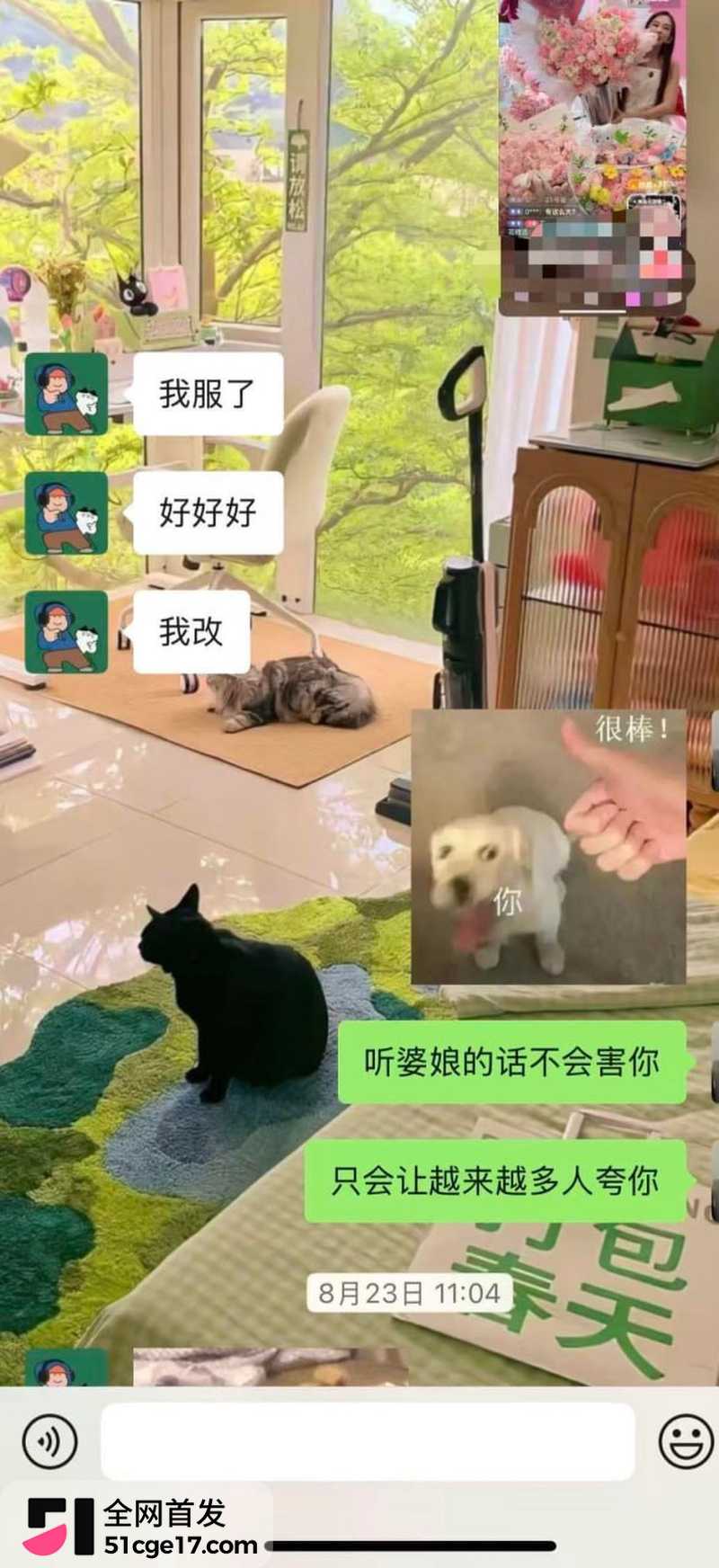 成都东部新区付俊伟彻底翻车 16