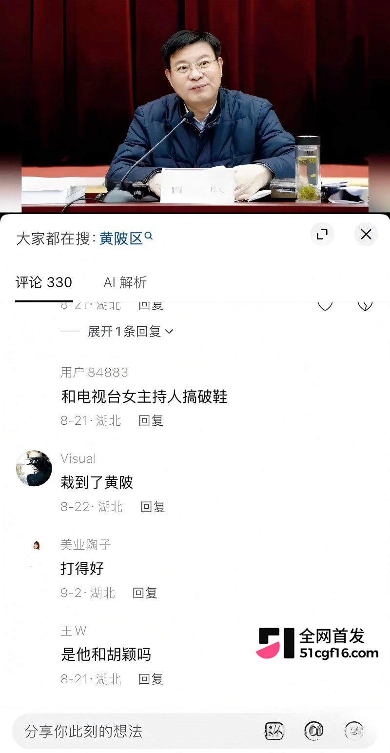 武汉市委秘书长 曾晟 与主持人情妇胡颖 丑闻曝光9